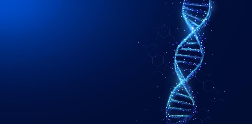 超纯 Biolonase 核酸酶